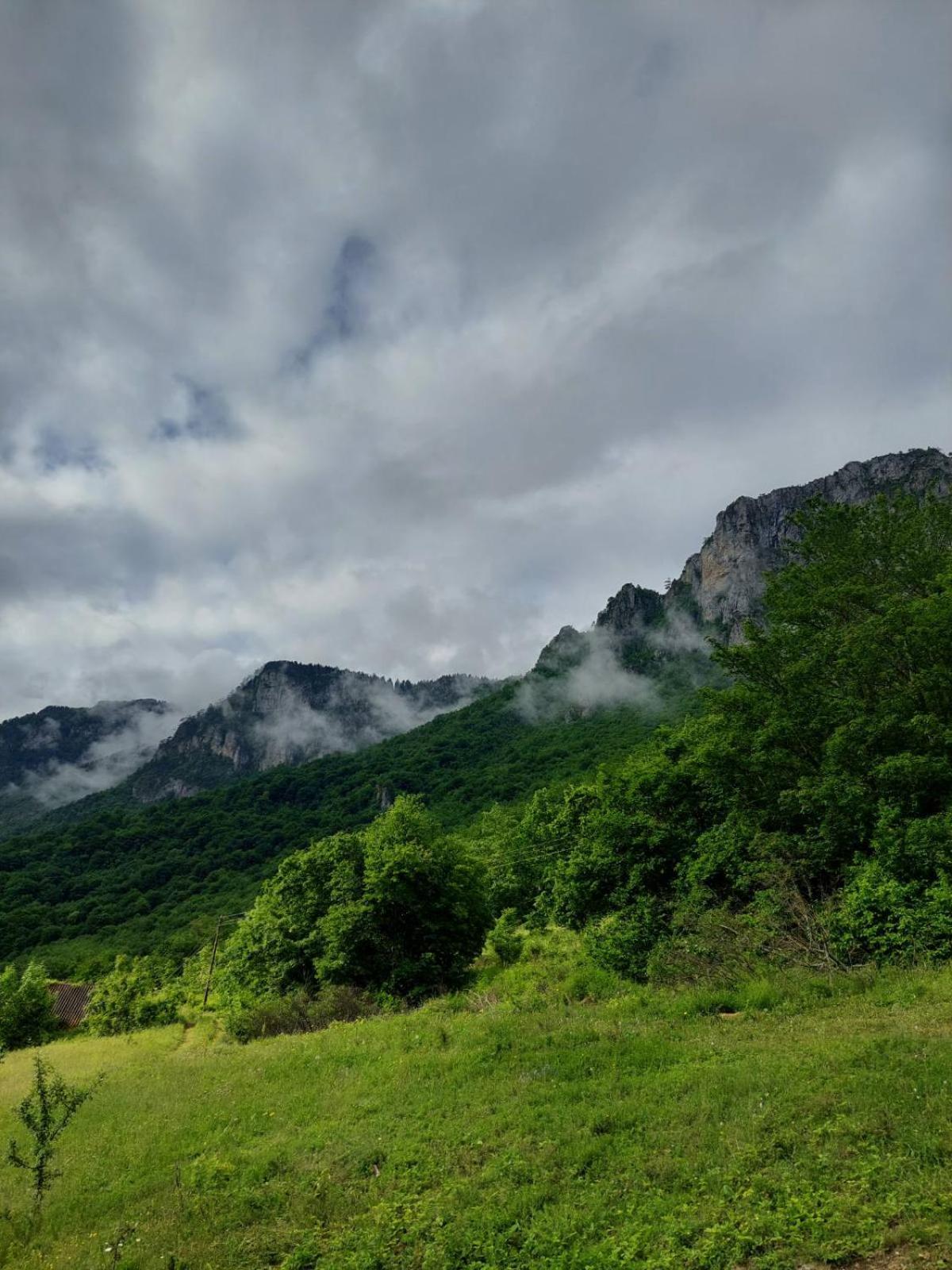 Hotel Rafting Camp Green Tara Scepan-Polje Exterior foto