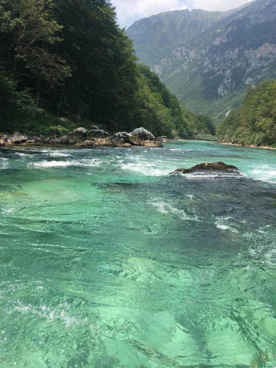 Hotel Rafting Camp Green Tara Scepan-Polje Exterior foto